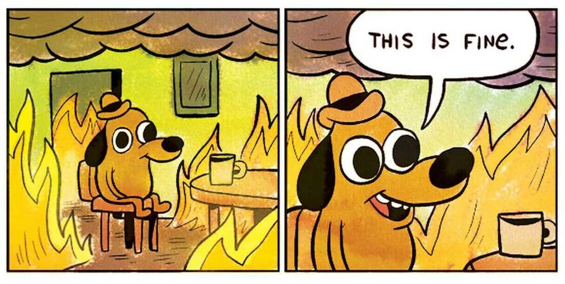 2 panel comic, popular meme. First panel has dog seated in a room on fire. Second panel is a close up of the same dog, fire in the background with the speech bubble, 'THIS IS FINE.'